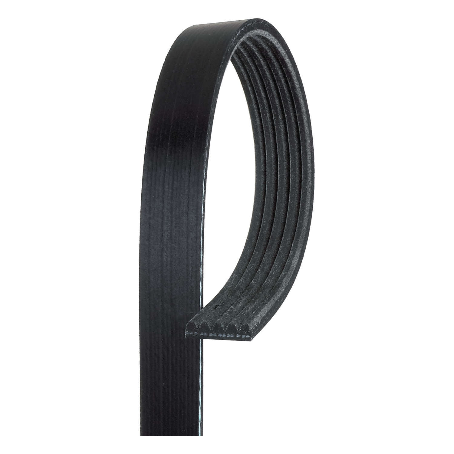 ACDelco Professional 5K825 Standard V-Ribbed Serpentine Belt Fits 1989 Chevrolet Cavalier