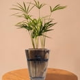 thumbnail image 5 of EaseDay Vintage Wooden Barrel Planter, Rustic Solid Wood Whiskey Barrel Flower Pot with Durable Metal Handles and Frame, Decorative Garden Plant Pot, 1 Pack, 5 of 9