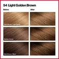 thumbnail image 2 of Permanent Hair Color by Revlon, Permanent Hair Dye, Colorsilk with 100% Gray Coverage, Ammonia-Free, Keratin and Amino Acids, 54 Light Golden Brown, 4.4 Oz (Pack of 1), 2 of 3