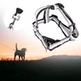 thumbnail image 2 of Conjunto de arnés y correa de nailon resistente para perros para aventuras al aire libre, diseño cómodo para el pecho y la espalda, talla M, 2 of 8