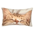 thumbnail image 1 of Balery Sleeping Cat In Blanket Funda de Cojín Estampada, Regalos para Mujeres, Regalos de Amor para Ella, Regalos para Novia o Esposa, Funda de Almohada-14"x20", 1 of 6
