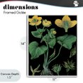 thumbnail image 4 of Stupell Industries French Country Marsh Marigold Illustration Study White Framed Giclee Art, 11 x 14, by Vintage Hustle, 4 of 8