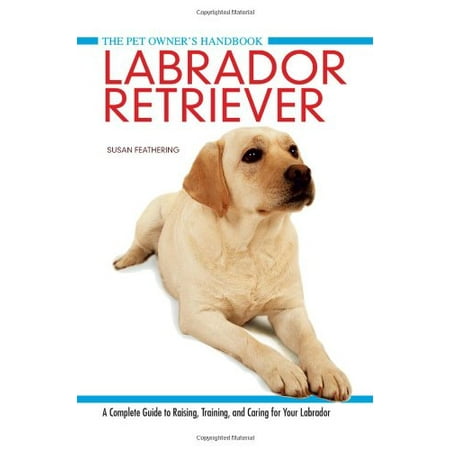Labrador Retriever visual data 4