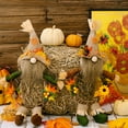 thumbnail image 6 of Fall Wreath with Plush Gnome, Artificial Grapevine Wreath with Flowers Maple Leaves and Berries, Autumn Harvest Wreath for Front Door Window and Wall Decoration, 6 of 9