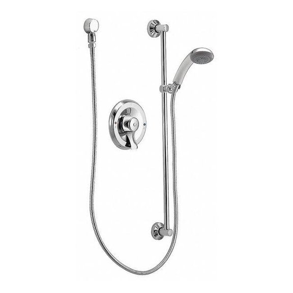 Moen Commercial Handheld, Shower, Chrome 8346