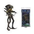 thumbnail image 1 of NECA Alien - Warrior Grid, juguete de figura de acción móvil, Xenomorph, Alien, Len, Ripley, videocámara, Bishop, Ricco, Frost JointsBatalla Dañado B zhangmengya unisex, 1 of 2