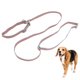 thumbnail image 4 of Juego De Collar De Perro Y Cuerda De Tracción, Collar De Perro Ajustable Reflectante Grabable Para Pasear Perros ANGGREK Otros, 4 of 8