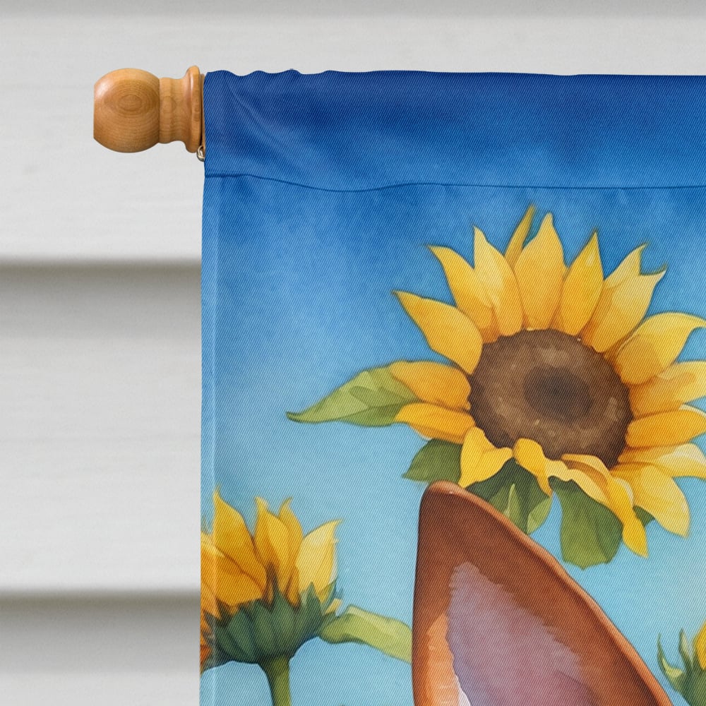 Caroline's Treasures DAC6016CHF Basenji in Sunflowers House Flag Large Porch Sleeve Pole Decorative Outside Yard Banner Artwork Wall Hanging, Polyester, House Size, Multicolor