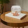 thumbnail image 4 of SOPOTUTU Aquarium Transparent Fish Bowl Clear Fish Container Suitable For Office Users 1Pack, 4 of 8
