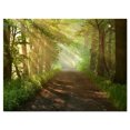 thumbnail image 2 of Suns Peeks into Forest - Impression sur Toile Photographie de Paysage, 2 of 3