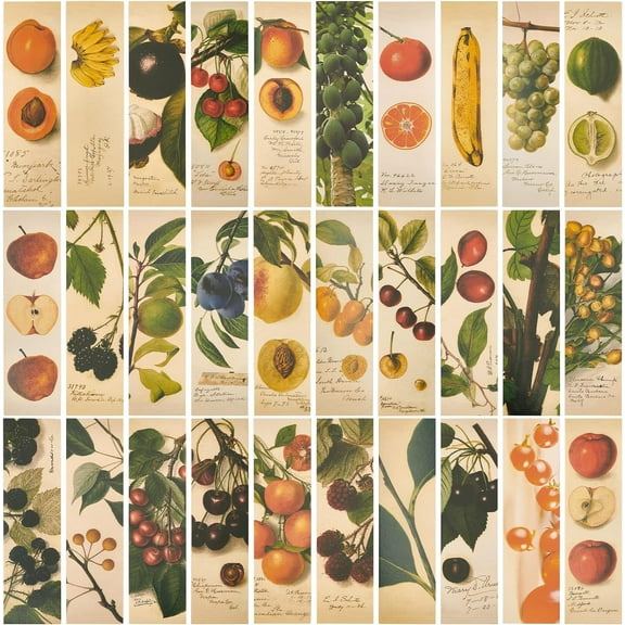 1box 1 box 30pcs Bookmarks Aesthetic Flower Bookmarks Vintage style Bookmarks Bird Clip in Bookmark Page Marker for Women Men Book Lovers Book Club Classroom Gift