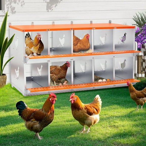 ZephyPaws Chicken Nesting Boxes,10 Compartment Metal Poultry Nest Box Wall Mount for Chickens,Hens,Ducks,Easy Egg Collection,Large Vented Holes Chicken Coop Equipment,Orange