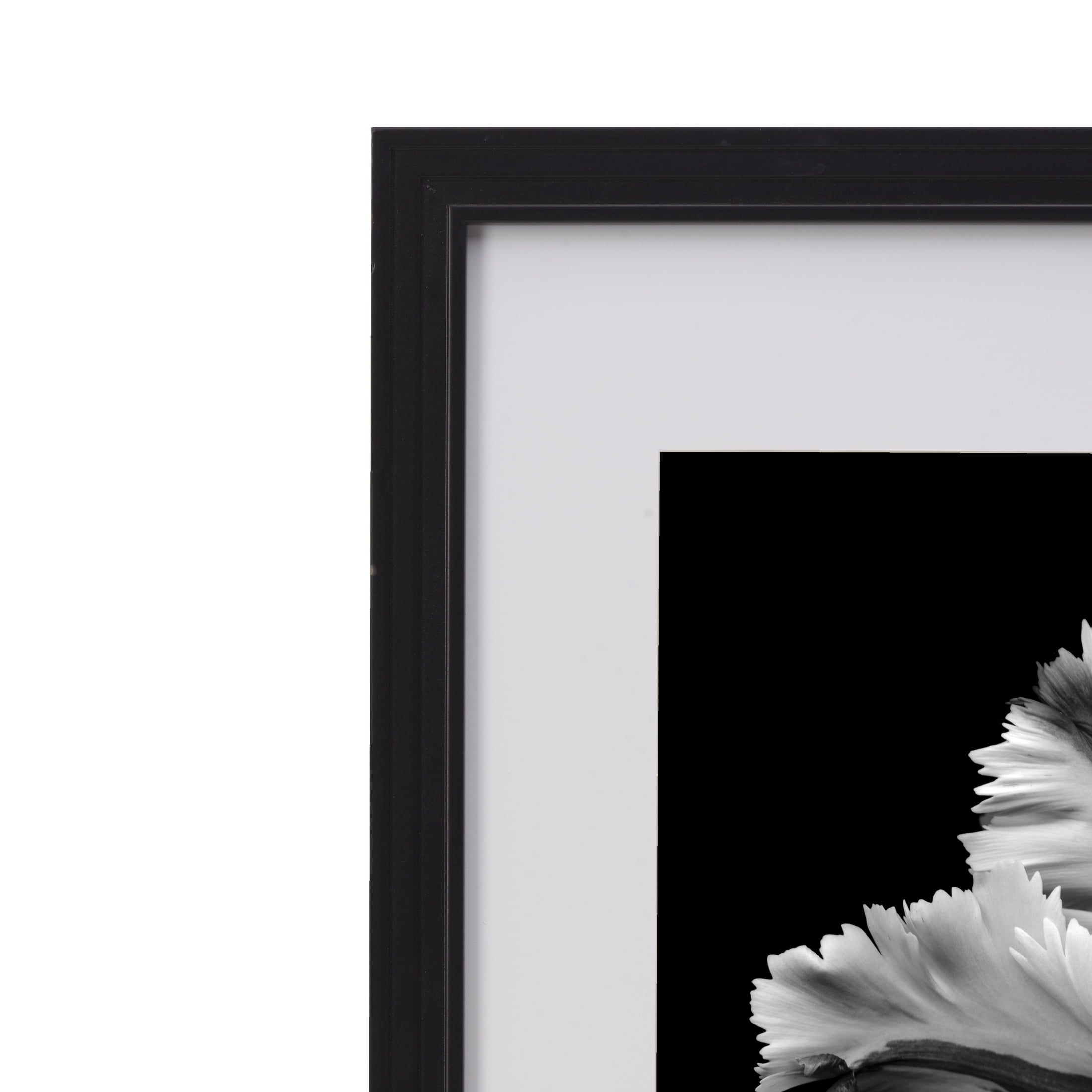 Home Accents 18X22 in Gallery Frame, Displays a 16X20 Photo without Mat and a 11X14 Photo with Mat, Black