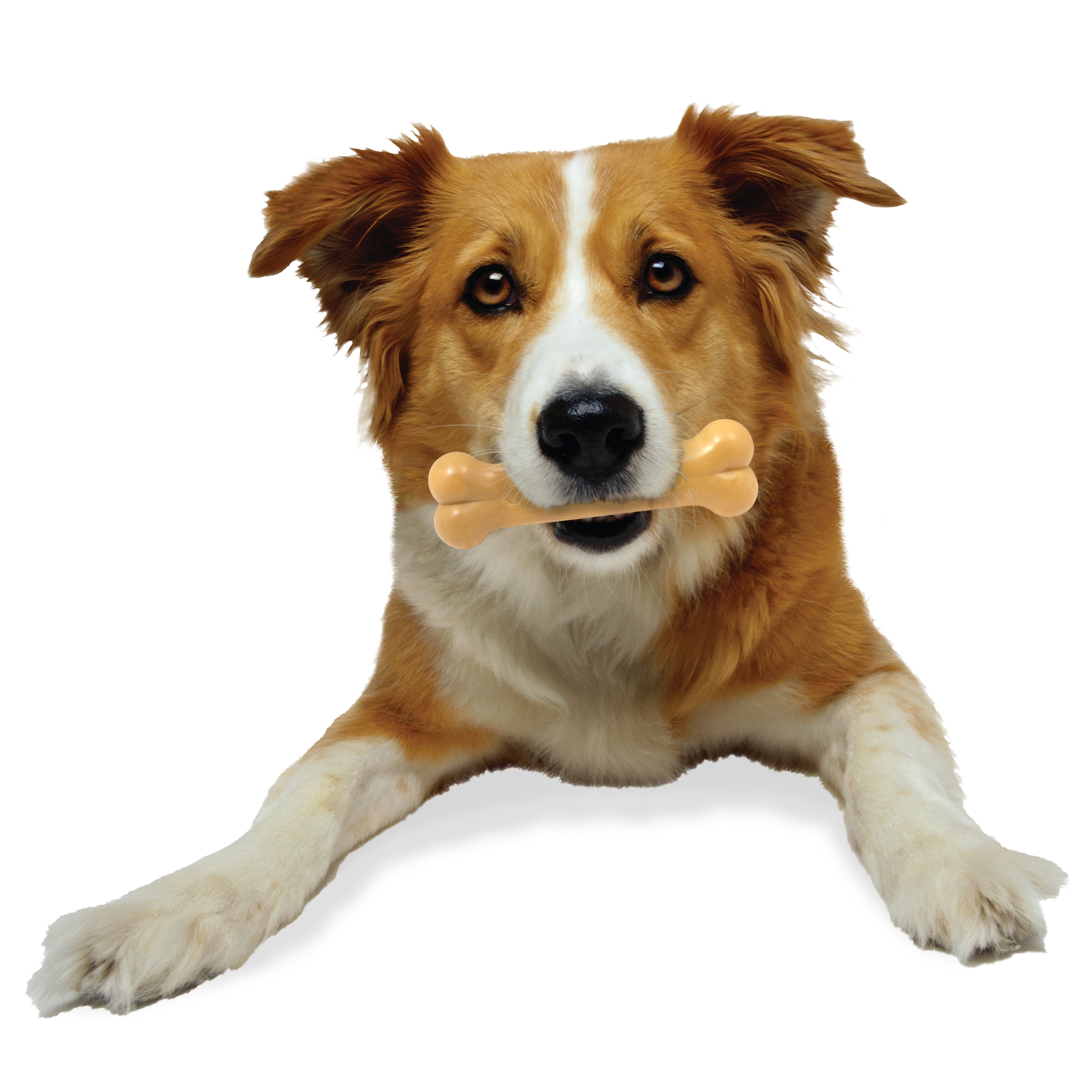 Nylabone Power Chew Dura Chew Peanut Butter Dog Chew Toy, Wolf