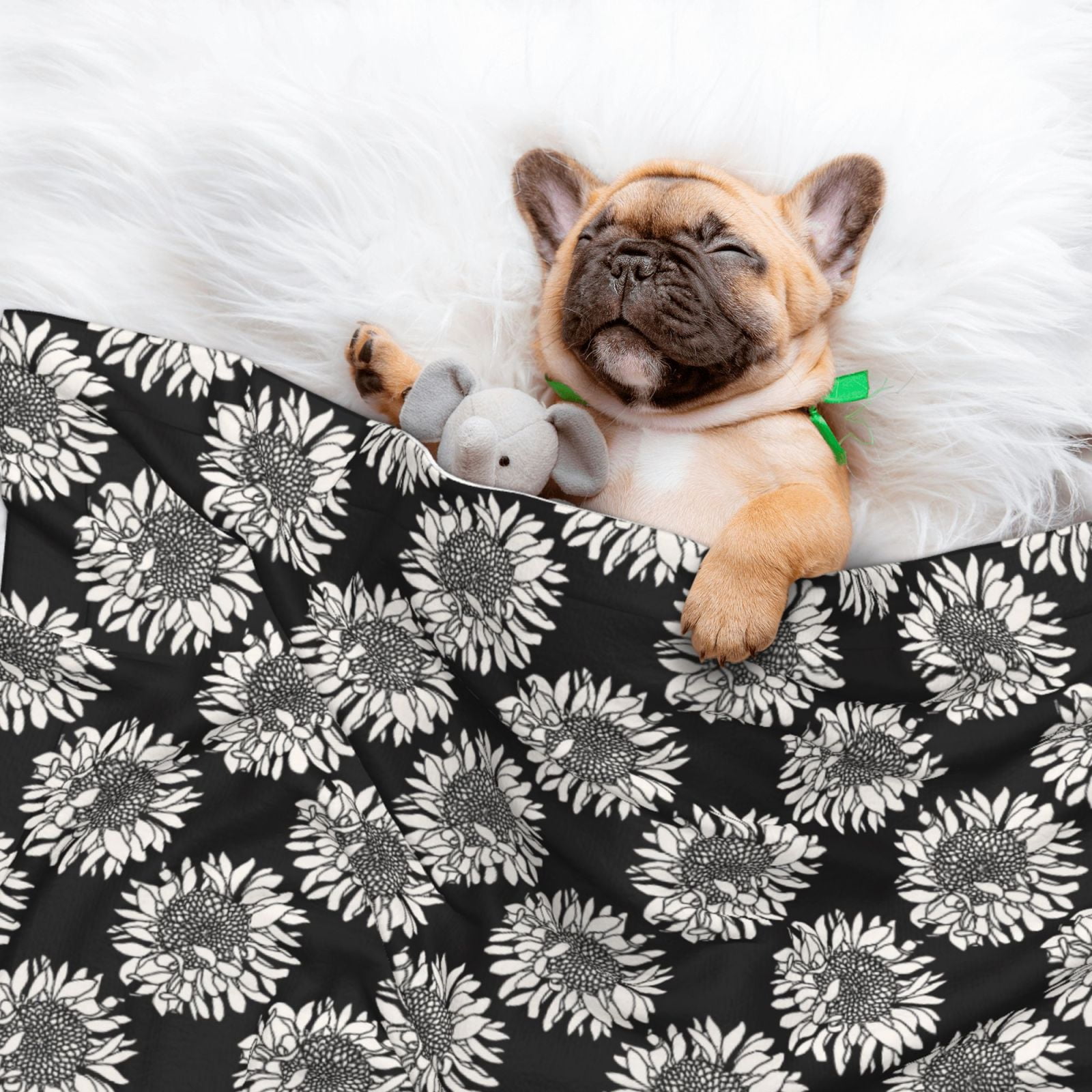 Naloa White Sunflowers Dog Blanket, 3 Sizes Cat Blanket for Indoor Cats Large Medium Small Dog Gifts-Medium