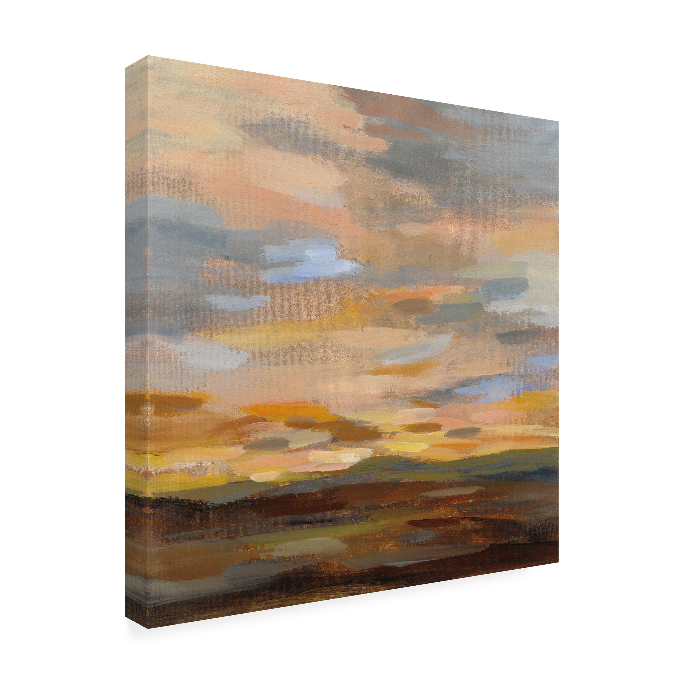 Silvia Vassileva 'High Desert Sky III' Canvas Art