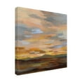 thumbnail image 4 of Trademark Fine Art 'High Desert Sky III' Canvas Art by Silvia Vassileva, 4 of 4