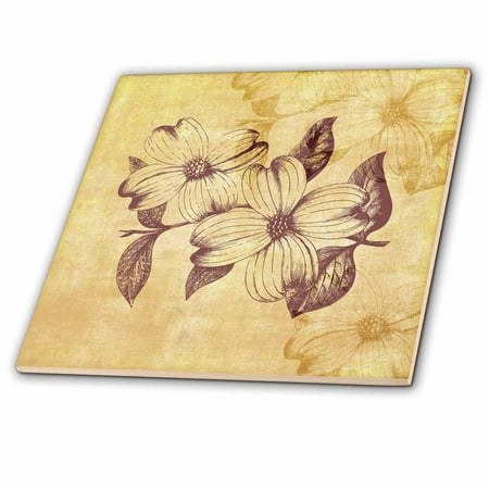 Botanical Tile - 3dRose Vintage Dogwood Flowers- Botanical Art - Ceramic Tile, 8-inch