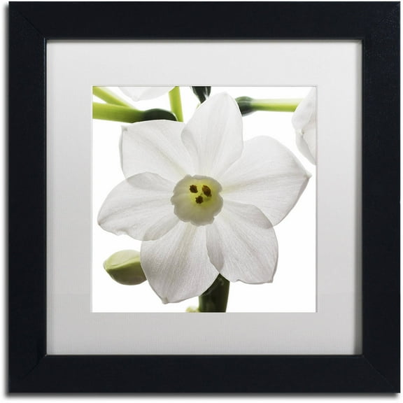 Trademark Fine Art "Paper White 2" Canvas Art by Kurt Shaffer White Mat, Black Frame