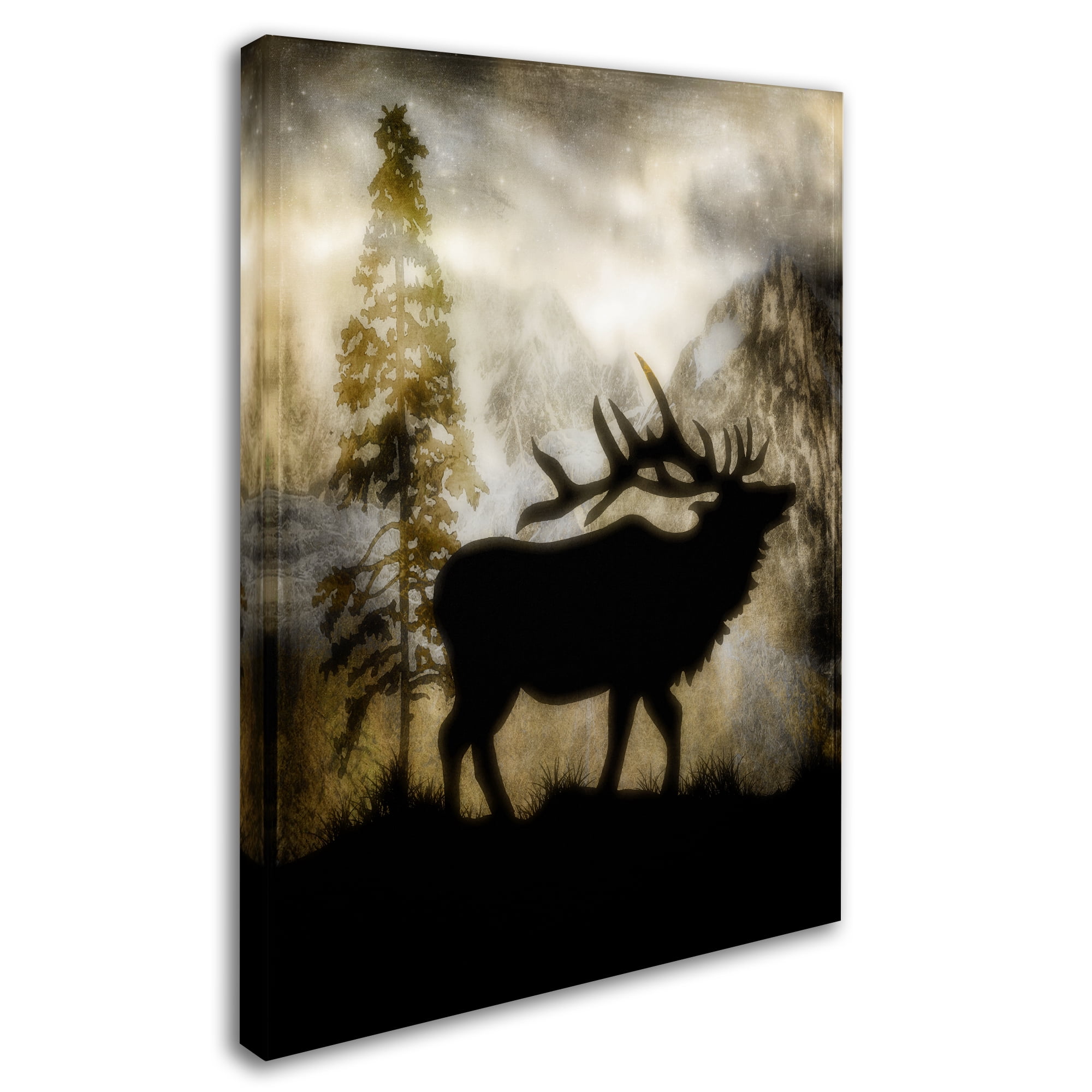 Trademark Fine Art 'Mystic Elk' Canvas Art by LightBoxJournal