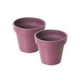 thumbnail image 1 of Algreen 18516 6 x 6 x 6 Po Rond Rayé&44; Violet - Pack de 2, 1 of 1
