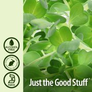 Alfalfa 1oz Alcohol Free