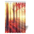 thumbnail image 1 of Cortina de Ducha ABPHQTO Bosque Otoño 120x180 cm Hermosos Árboles y Hojas Brumoso en Rayos de Sol, 1 of 3