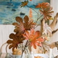 thumbnail image 2 of Artificial Fatsia Leaf in Autumn Red 32" Tall, 2 of 12
