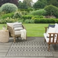 thumbnail image 6 of Nourison Positano Indoor/Outdoor Charcoal 4' x 6' Area Rug (4x6), 6 of 9