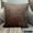 18. Brown (Velvet Brown Jules), variant on The HomeCentric Decorative Blue Pack of 2, 16"x16" (40x40 cm) Throw Pillow Covers, Velvet Double Side, Faux Leather Puller Throw Pillows For Sofa, Solid Color Modern Style - Velvet Blue Jules
