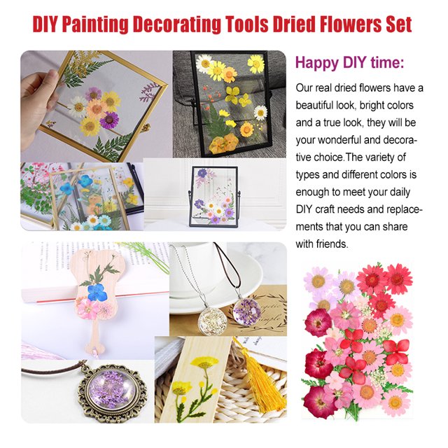 Dried Flowers Set Scrapbooking Decorating Real Flower Decal material; it Handicraft Filling Pressed Specimen Label for Makeup Phone Use Type 13