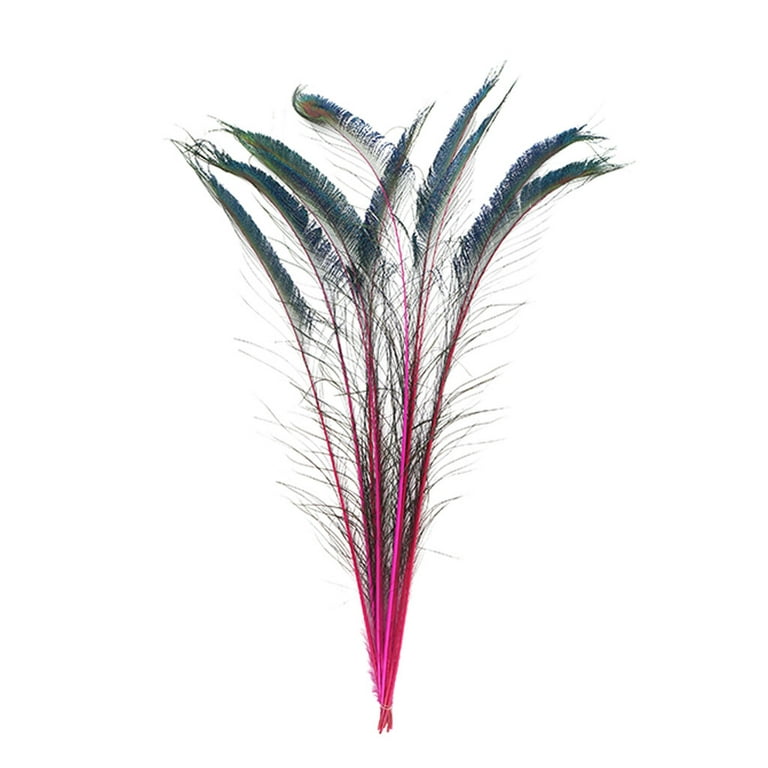 Zucker Feather Products Peacock Swords Stem Dyed Feathers - 25-40 inch - 10pcs - Red