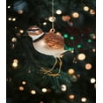 thumbnail image 2 of Set of 12 Killdeer Bird Ornament, 2 of 2