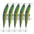 thumbnail image 4 of FLAMEEN 5Pcs Artificial Simulation Minnow Long Shot Lure Bait With Treble Hook Fishing Accessory,Minnow Lure Bait,Lure Bait, 4 of 8
