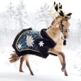 thumbnail image 4 of Holiday Horse Highlander de Breyer Horses 2023 de colección, 4 of 9