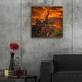 thumbnail image 5 of Epic Art 'Imagine...' by Philippe Sainte-Laudy, Acrylic Glass Wall Art, 24"x24", 5 of 8