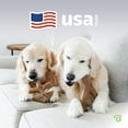 thumbnail image 3 of Benebone 2-pack Fishbone/Wishbone Durable Dog Chew Toys, Real Fish, Real Bacon, Made in , Large, 3 of 6