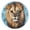 Black, variant on Round Clock Black Clock 9.84*9.84 Inch Round Art Clock Decorative Clock Creative Clock Dual-Purpose Clock Wall Clock Clock Fashion Decoration Big Brown Lion