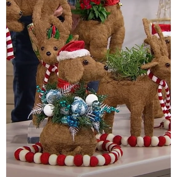 Ultimate Innovations Animal Planter - Santa Dog