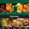 3‑Speed Multi‑Function Juicer Extractor, 3