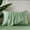 Green, variant on Lidoloka Luxury 2Pcs Bamboo Rayon Pillowcases Set King Size for Adult,Cool&Soft,20"x40",Blue Gray