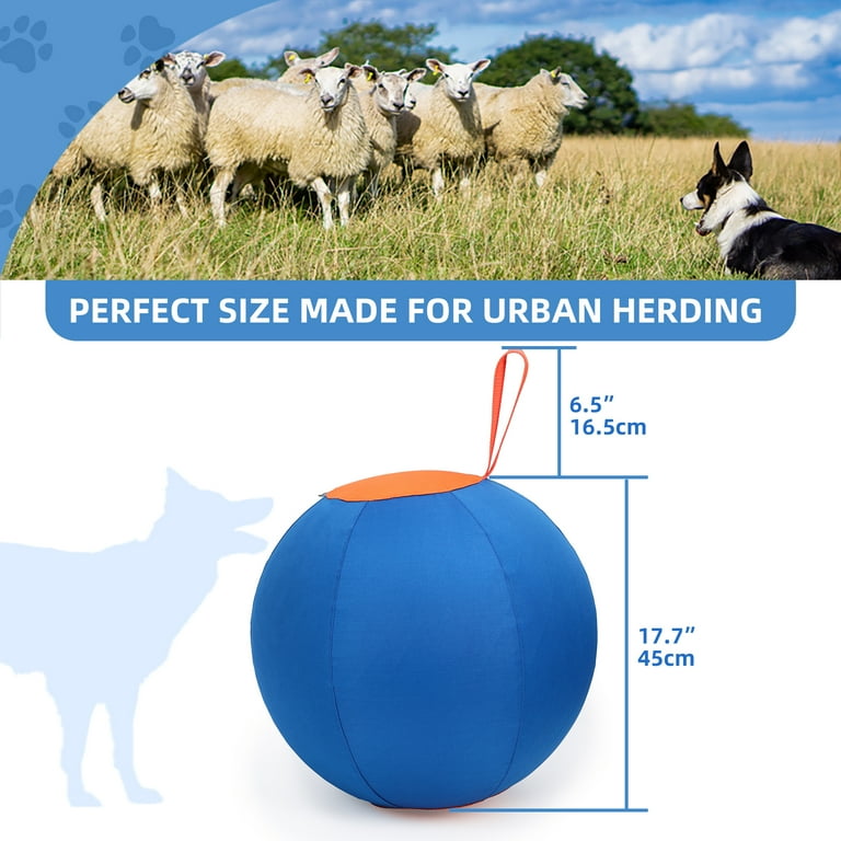 Harding Ball Voor Hond - Heavy Duty Kruiden Hondenbal