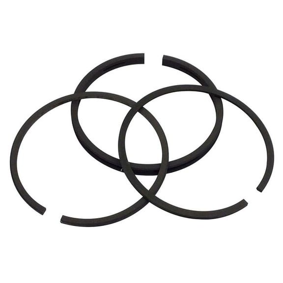 Briggs & Stratton OEM 399067 Ring Set-Std