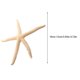 thumbnail image 4 of Advancent Natural 5-12 cm/10-12 cm dedo blanco estrella de mar mar elegante hogar pelo boda decoración y proyecto artesanal Decoración del hogar blanco 10-12cm, 4 of 6