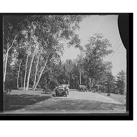 Historic Print, Birches, Hotel Aspinwall, Lenox, Mass., 16" x 20"