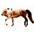 thumbnail image 2 of Hoffman, Kate 14x11 White Modern Wood Framed Museum Art Print Titled - Horse 10, 2 of 4