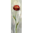 thumbnail image 2 of Vassileva, Silvia 11x24 Black Ornate Wood Framed with Double Matting Museum Art Print Titled - Single Stem Flower II, 2 of 4