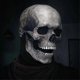 thumbnail image 2 of Skull mask with Movable Jaw Full Head Skull Mask Halloween Decoration Decoration Horror Helmet, 2 of 5