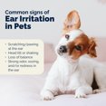 thumbnail image 6 of Vetnique OticBliss Cat & Dog Allergy Ear Drops with Hydrocortisone, 1.8 oz, 6 of 10