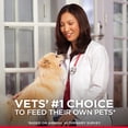 thumbnail image 5 of Hill's Science Diet Adult Perfect Weight Canned Dog Food, Chicken & Vegetable Entrée, 12.8 oz, 12 Pack wet dog food, 5 of 10